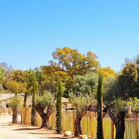 Domaine De Gialla Bergerie Quercia, 4 Pers, Piscine Chauffee, 10 Mn *