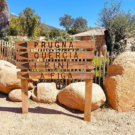 Domaine De Gialla Bergerie Quercia, 4 Pers, Piscine Chauffee, 10 Mn *