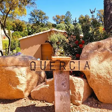 Domaine De Gialla Bergerie Quercia, 4 Pers, Piscine Chauffee, 10 Mn *