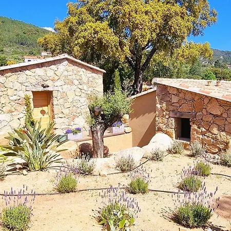 Domaine De Gialla Bergerie Quercia, 4 Pers, Piscine Chauffee, 10 Mn Villa Arraggio