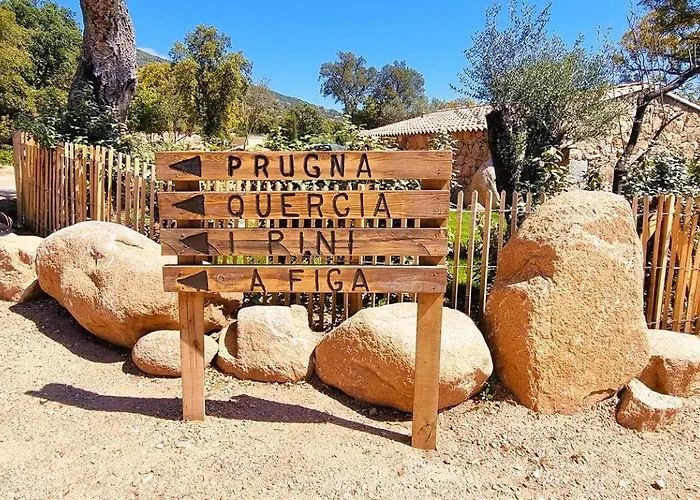 Domaine De Gialla Bergerie Quercia, 4 Pers, Piscine Chauffee, 10 Mn *