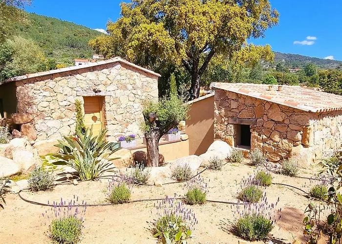 Domaine De Gialla Bergerie Quercia, 4 Pers, Piscine Chauffee, 10 Mn Villa Arraggio